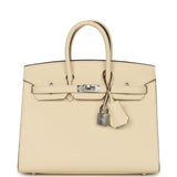 Hermes Birkin Sellier 25 Nata Epsom Palladium Hardware - Thumbnail View 1