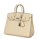 Hermes Birkin Sellier 25 Nata Epsom Palladium Hardware - Thumbnail View 5