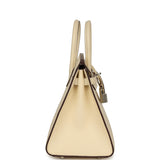 Hermes Birkin Sellier 25 Nata Epsom Palladium Hardware - Thumbnail View 3
