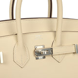 Hermes Birkin Sellier 25 Nata Epsom Palladium Hardware - Thumbnail View 7