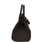Hermes Birkin 25 "Go Team" Ebene Swift, Feutre Palladium Hardware - Thumbnail View 4
