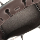 Hermes Birkin 25 "Go Team" Ebene Swift, Feutre Palladium Hardware - Thumbnail View 10