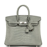 Hermes Birkin 25 Gris Cement Matte Alligator Palladium Hardware - Thumbnail View 1