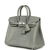 Hermes Birkin 25 Gris Cement Matte Alligator Palladium Hardware - Thumbnail View 5