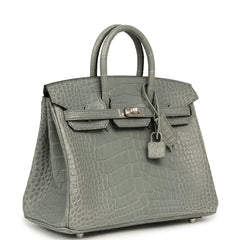 Hermes Birkin 25 Gris Cement Matte Alligator Palladium Hardware