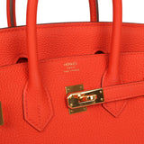 Pre-owned Hermes Birkin 25 Capucine Togo Gold Hardware - Thumbnail View 7