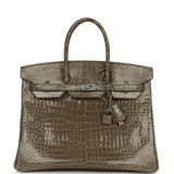 Hermes Birkin 35 Gris Tourterelle Shiny Porosus Crocodile Palladium Hardware - Thumbnail View 1