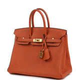 Pre-owned Hermes Birkin 25 Orange Togo Gold Hardware