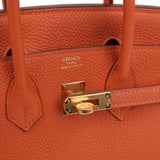 Pre-owned Hermes Birkin 25 Orange Togo Gold Hardware