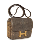 Hermes Constance 18 Ombre Shiny Varanus Salvator Lizard Gold Hardware - Thumbnail View 2