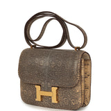Hermes Constance 18 Ombre Shiny Varanus Salvator Lizard Gold Hardware - Thumbnail View 5