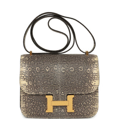Hermes Constance 18 Ombre Shiny Varanus Salvator Lizard Gold Hardware