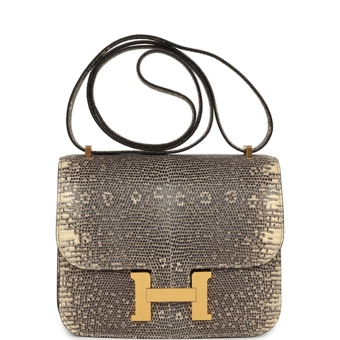 Hermes Constance 18 Ombre Shiny Varanus Salvator Lizard Gold Hardware