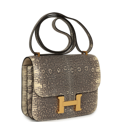 Hermes Constance 18 Ombre Shiny Varanus Salvator Lizard Gold Hardware