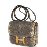Hermes Constance 18 Ombre Shiny Varanus Salvator Lizard Gold Hardware - Thumbnail View 5