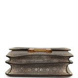 Hermes Constance 18 Ombre Shiny Varanus Salvator Lizard Gold Hardware - Thumbnail View 6