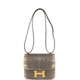 Hermes Constance 18 Ombre Shiny Varanus Salvator Lizard Gold Hardware - Thumbnail View 7