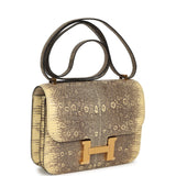 Pre-owned Hermes Constance 18 Ombre Varanus Salvator Lizard Gold Hardware - Thumbnail View 2