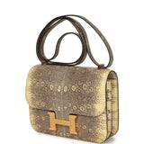 Pre-owned Hermes Constance 18 Ombre Varanus Salvator Lizard Gold Hardware - Thumbnail View 5