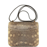 Pre-owned Hermes Constance 18 Ombre Varanus Salvator Lizard Gold Hardware - Thumbnail View 4
