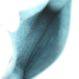 Hermes Evelyne TPM Blue Jean Clemence Palladium Hardware