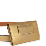 Hermes Kelly Pocket Belt 18 Dore Chevre Chamkilight Palladium Hardware