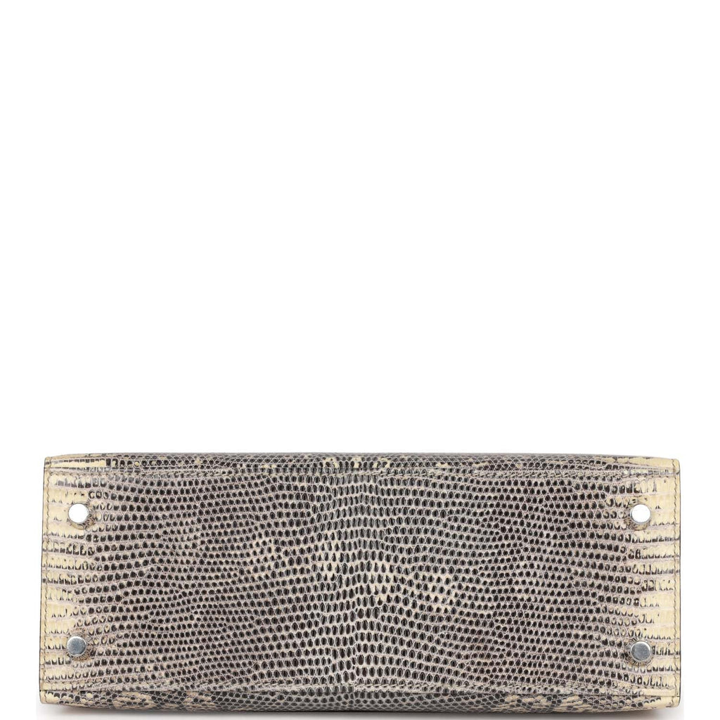 Hermes Ombre Lizard Sellier Kelly 25 cm Handbag Himalayan Birkin Bag –  MAISON de LUXE