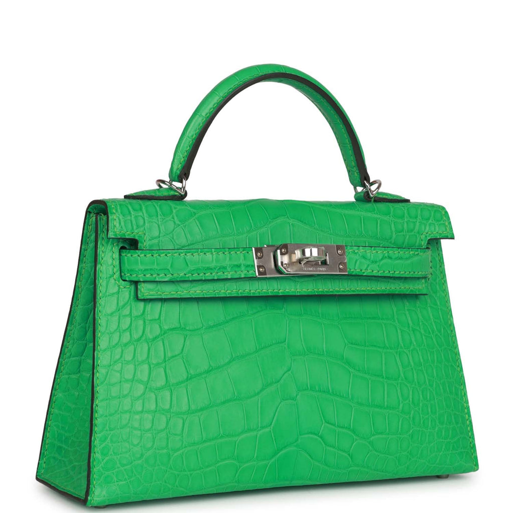 Limited Edition Vert D'eau Matte Alligator Birkin 20 Sellier Gold Hardware,  2023, Handbags & Accessories, 2023