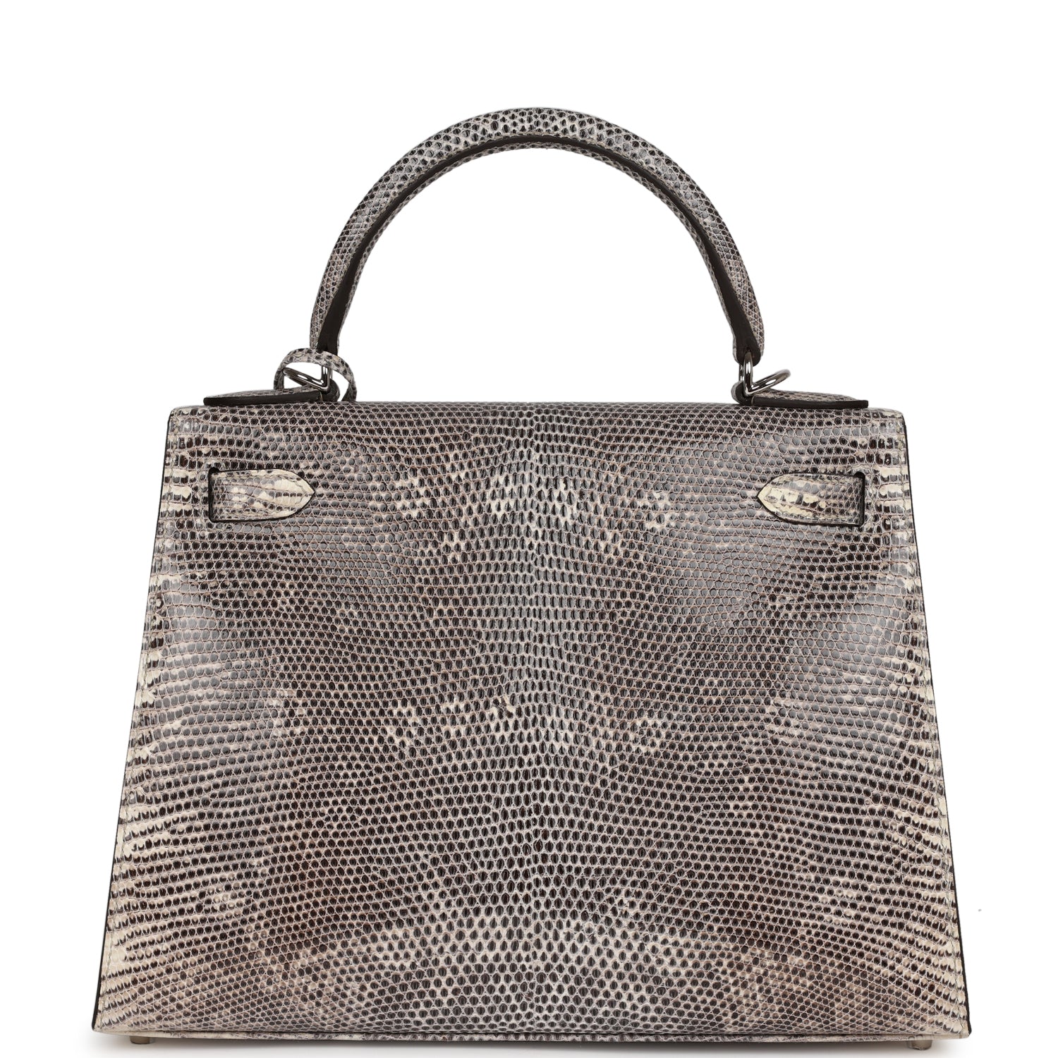 Hermes Kelly Sellier 28 Ombre Varanus Salvator Lizard Palladium Hardwa ...