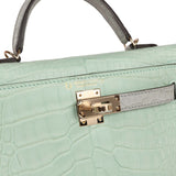 Hermes Birkin Sellier 20 Vert D'eau Matte Alligator Gold Hardware – Madison  Avenue Couture