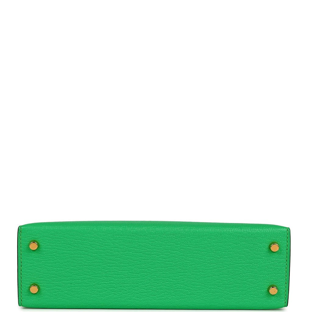 Hermès Kelly 20 Vert Criquet Sellier Chevre Mysore Gold Hardware GHW — The  French Hunter