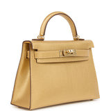 Hermes Kelly Sellier 20 Dore Chevre Chamkilight Permabrass Hardware