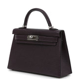 Hermes Kelly Sellier 20 Raisin Verso Chevre Mysore Palladium Hardware