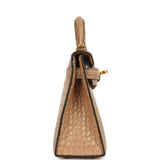 Hermes Kelly Sellier 20 Chai Matte Alligator Gold Hardware