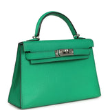 Pre-owned Hermes Kelly Sellier 20 Cactus Verso Chèvre Mysore Palladium Hardware