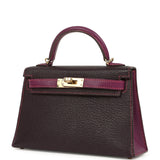 Hermes Special Order (HSS) Kelly Sellier 20 Raisin and Anemone Chevre Mysore Permabrass Hardware - Thumbnail View 5