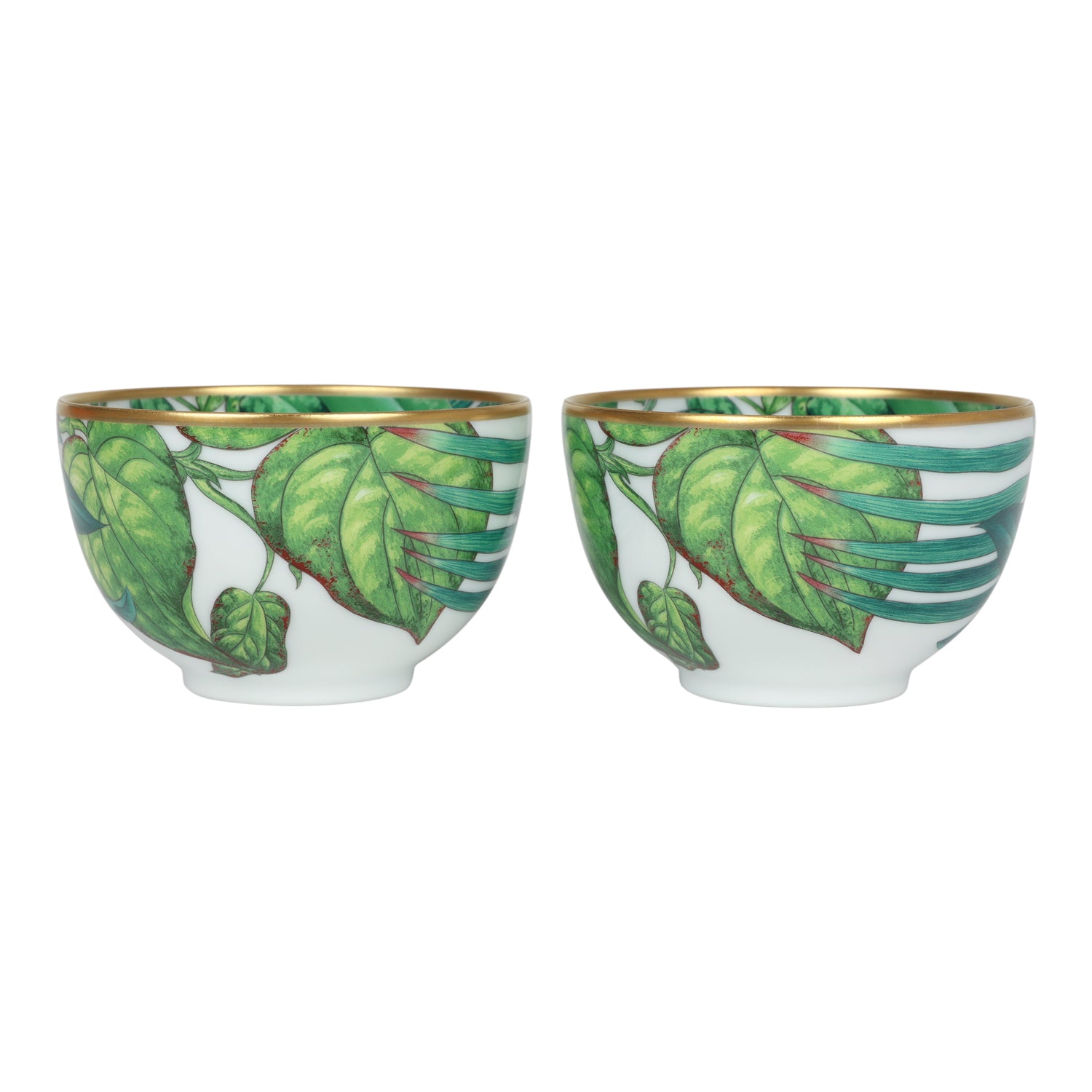HERMES Shas Gordon Setter porcelain Star anise Morning Cup and saucer set Tableware yellow