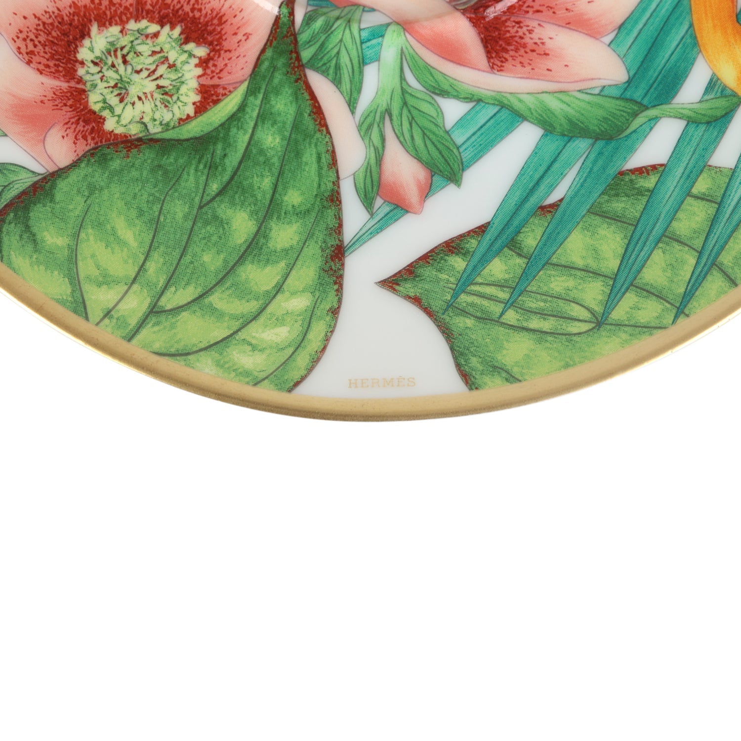 HERMES Shas Gordon Setter porcelain Star anise Morning Cup and saucer set Tableware yellow