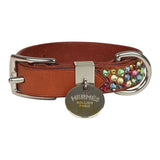Custom Multicolored Swarovski Crystal Hermes Etriviere III Dog Collar XS Dark Irish Vache Bridle Sterling Silver - Thumbnail View 1