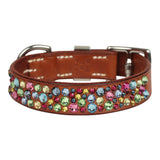 Custom Multicolored Swarovski Crystal Hermes Etriviere III Dog Collar XS Dark Irish Vache Bridle Sterling Silver - Thumbnail View 4