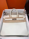 Hermes Birkin 25 Mushroom Swift PHW