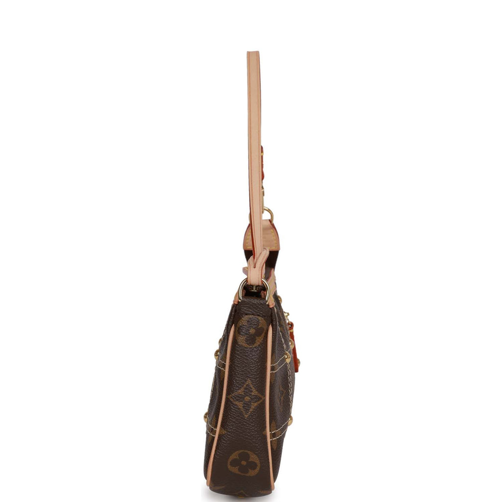 Louis Vuitton Monogram Riveting Pochette Accessoires - Brown Mini
