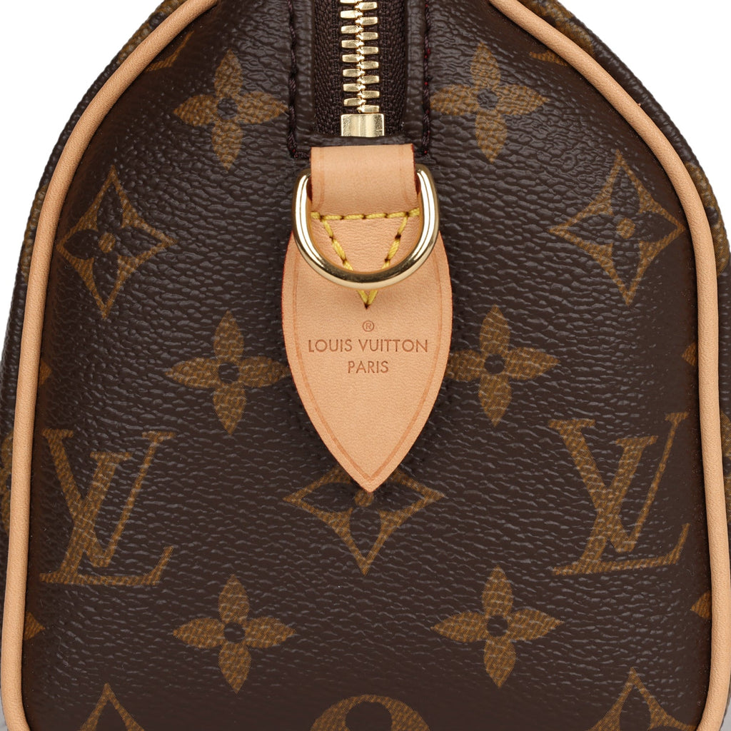 Louis Vuitton Monogram Speedy 20 Gold Hardware – Madison Avenue