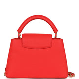 Louis Vuitton X Takashi Murakami Cherry Capucines BB Red Taurillon Leather Gold Hardware