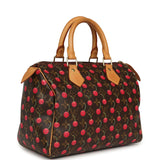Vintage Louis Vuitton x Takashi Murkami Cheries Speedy 25 Brown and Red Cherry Monogram Gold Hardware - Thumbnail View 2