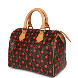 Vintage Louis Vuitton x Takashi Murkami Cheries Speedy 25 Brown and Red Cherry Monogram Gold Hardware - Thumbnail View 5