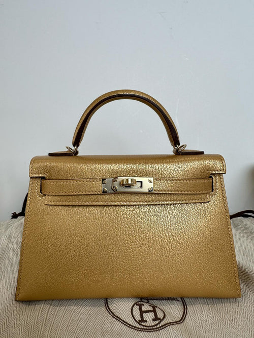 Hermes Kelly Sellier 20 Dore Chevre Chamkilight Permabrass Hardware For JJ