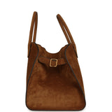 The Row Soft Margaux 15 Bag Cider Suede Gold Hardware