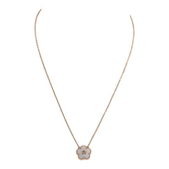 VCA-N-241106-1-YC-01_medium.