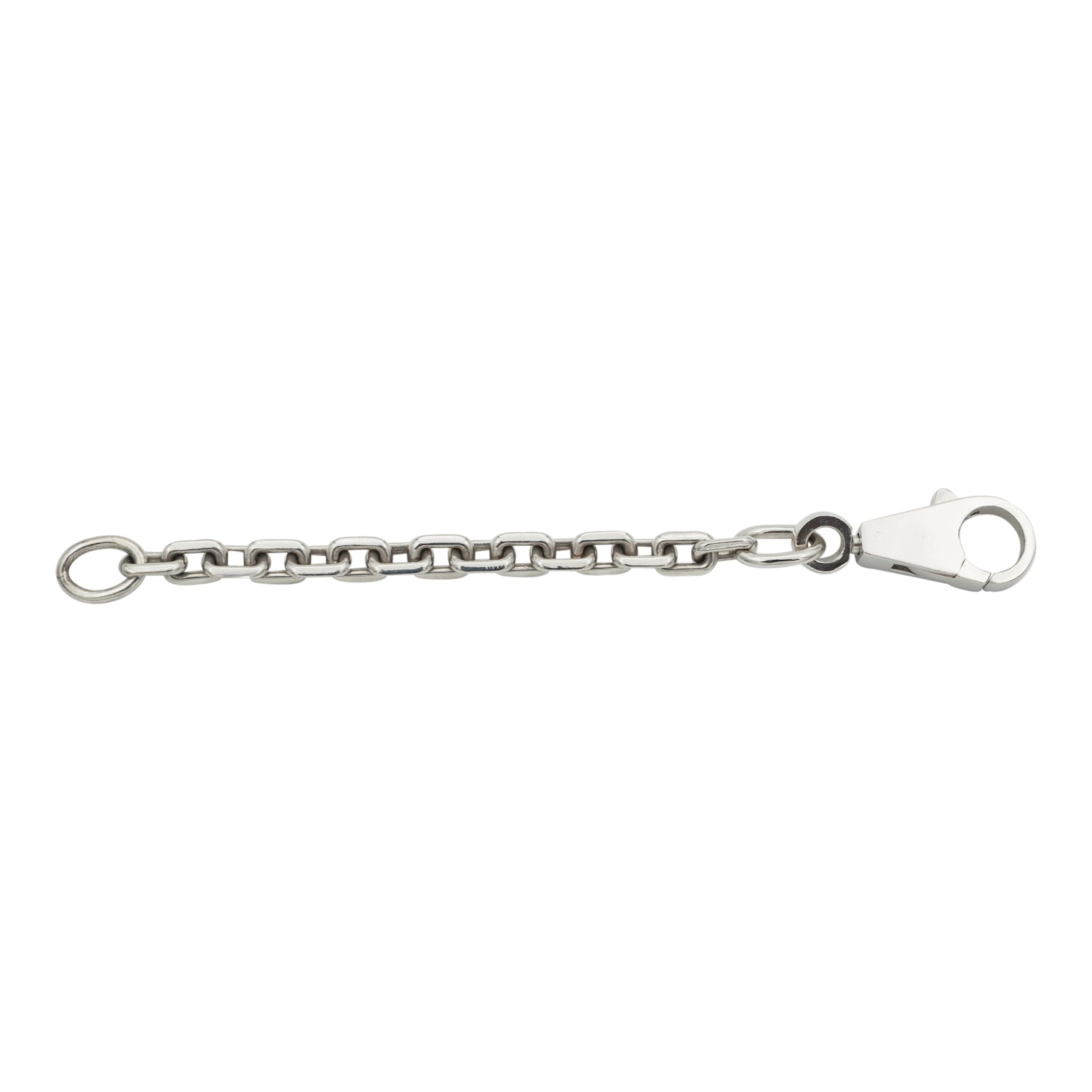 Bag Bestie Sterling Silver Premium Chain